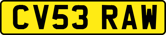 CV53RAW
