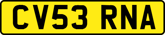 CV53RNA