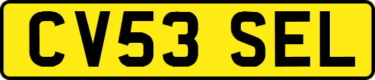 CV53SEL