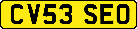 CV53SEO