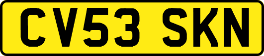 CV53SKN