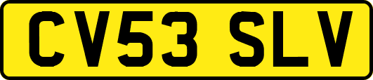 CV53SLV