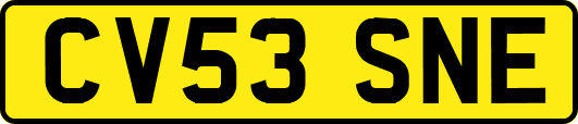 CV53SNE