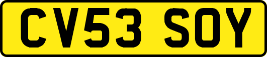 CV53SOY