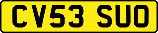 CV53SUO