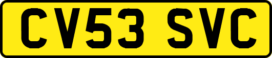 CV53SVC