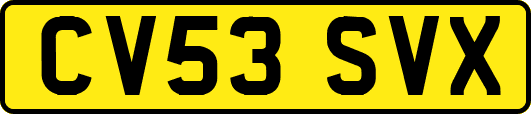CV53SVX