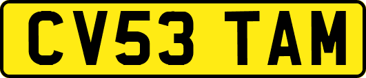 CV53TAM