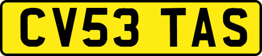 CV53TAS
