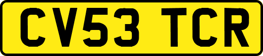 CV53TCR