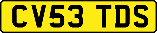 CV53TDS