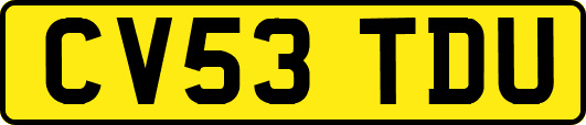 CV53TDU