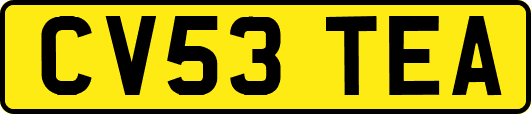 CV53TEA