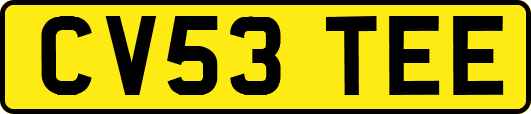 CV53TEE