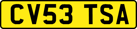 CV53TSA