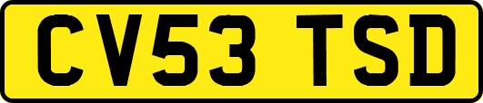 CV53TSD