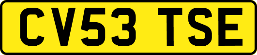 CV53TSE