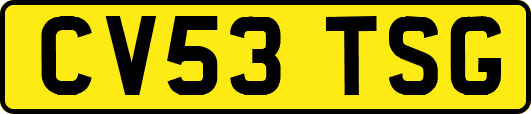 CV53TSG
