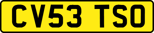 CV53TSO