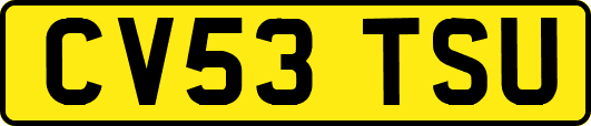 CV53TSU