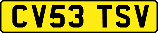 CV53TSV