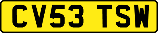 CV53TSW