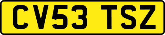 CV53TSZ