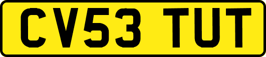 CV53TUT