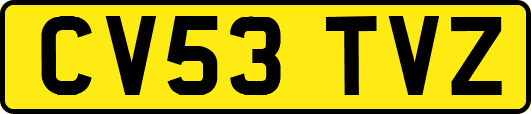 CV53TVZ