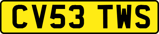CV53TWS