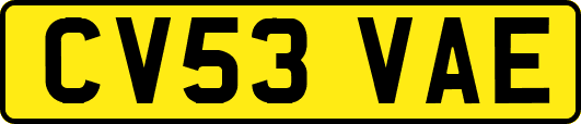 CV53VAE