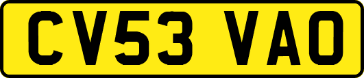 CV53VAO