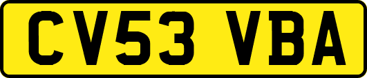 CV53VBA
