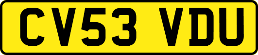 CV53VDU