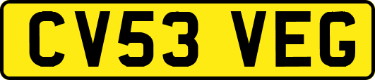 CV53VEG