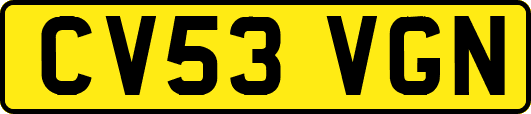 CV53VGN