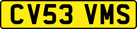 CV53VMS