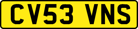 CV53VNS