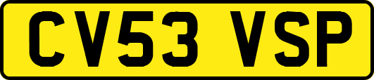 CV53VSP