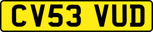 CV53VUD