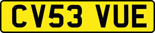 CV53VUE