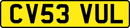 CV53VUL