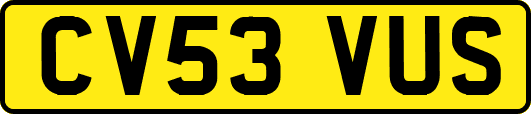 CV53VUS