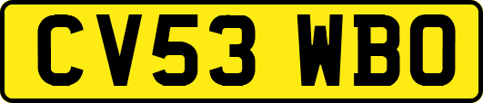 CV53WBO