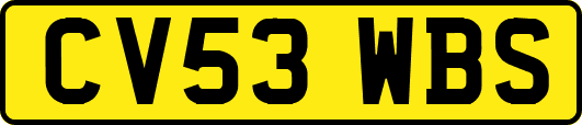 CV53WBS