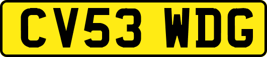 CV53WDG
