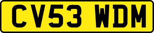 CV53WDM