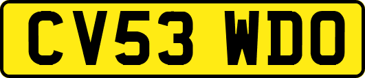 CV53WDO