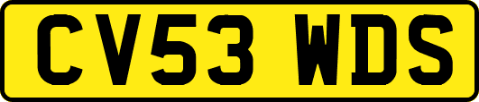 CV53WDS