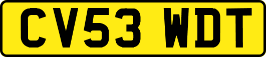 CV53WDT